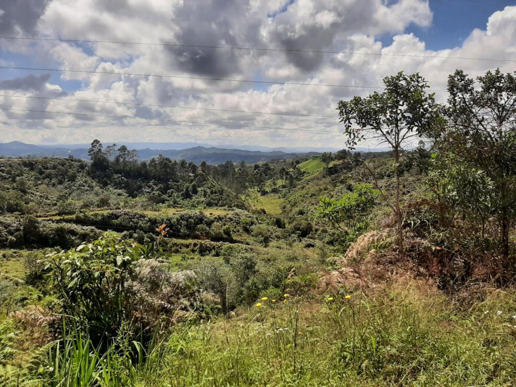 2022060255294038505250710