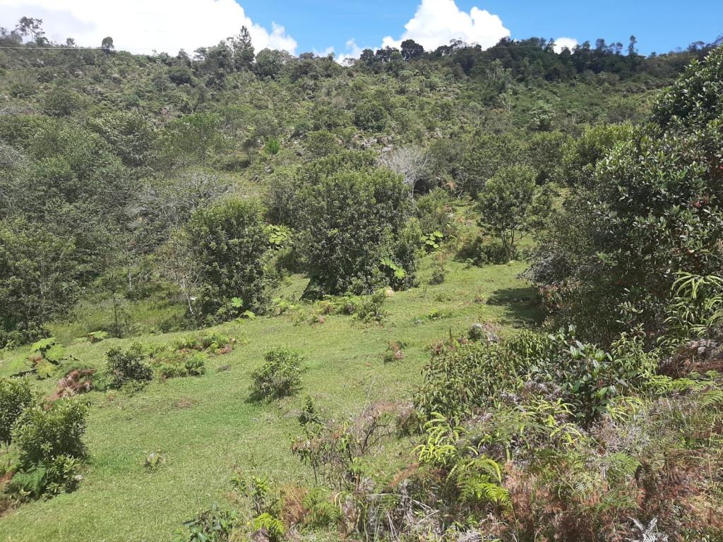 2022060255319771425250710