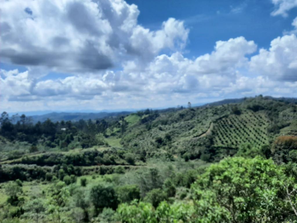 2022060255333749185250710