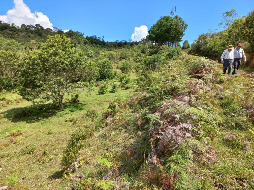 2022060255346920305250710