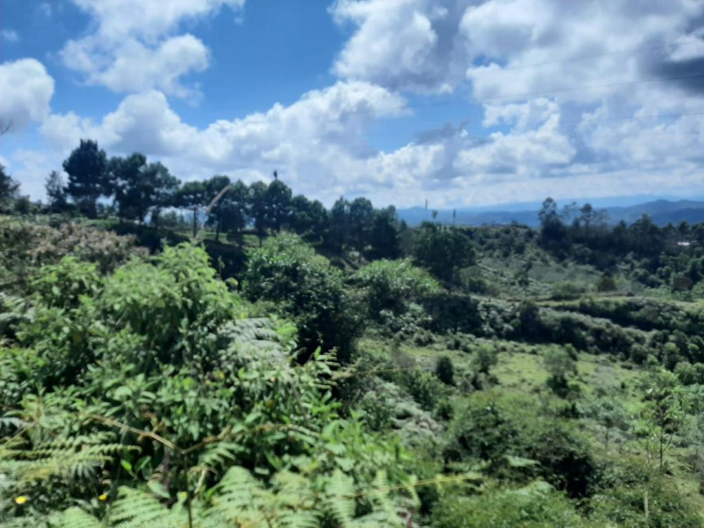 2022060255361012075250710