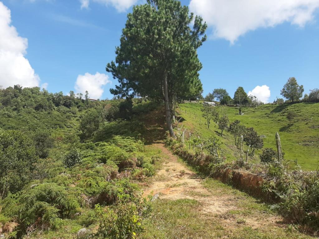 2022060255373075235250710