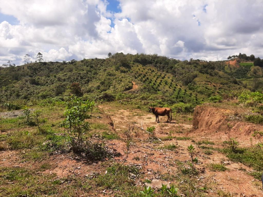 2022060255386467965250710