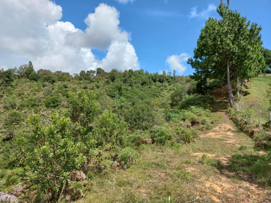 2022060255399370635250710