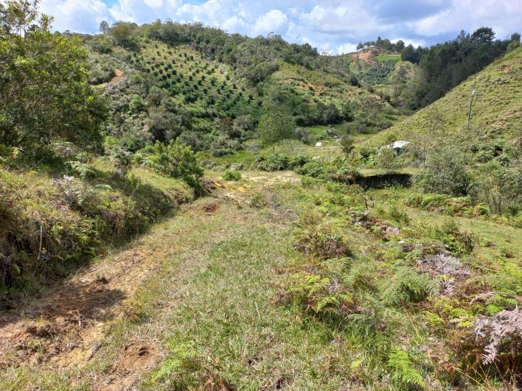 2022060255412317655250710