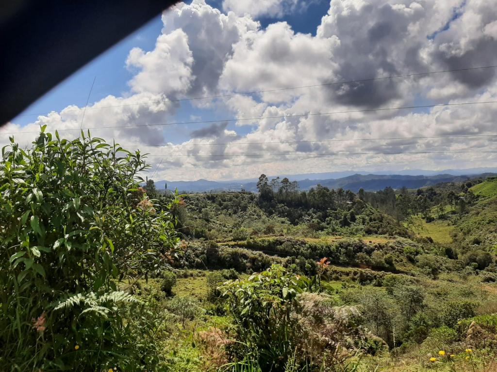 2022060255426612855250710