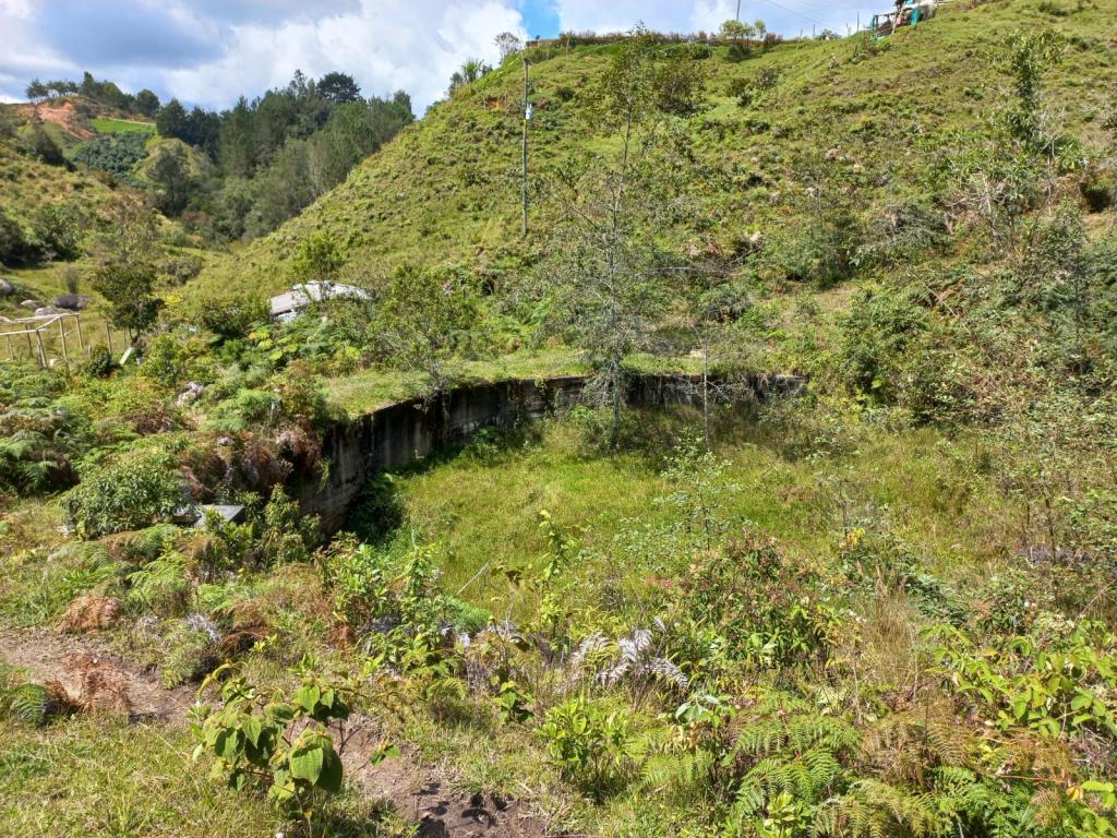 2022060255438967895250710