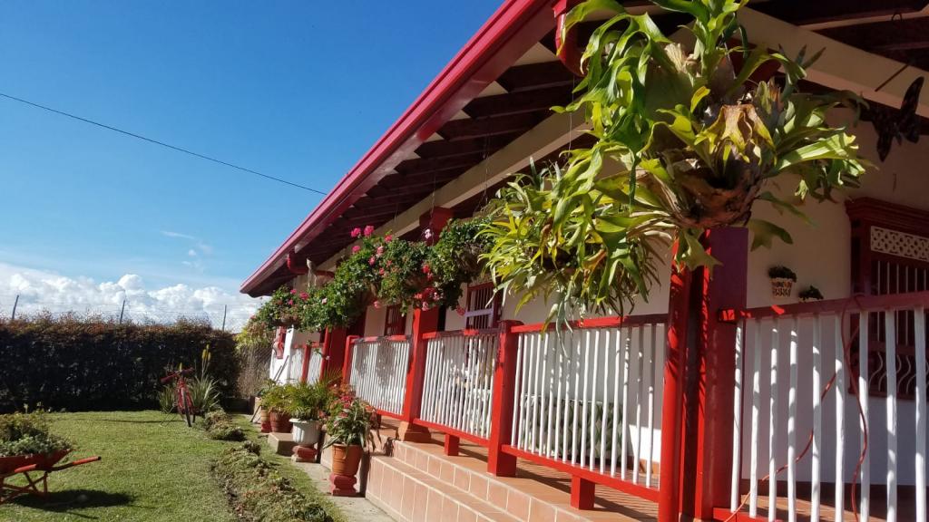 2022060315543241935250917