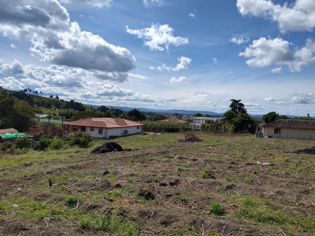 2022060315559680205250917