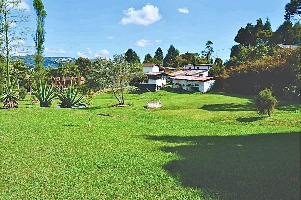 2022060316487206645250921