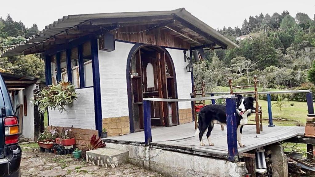 2022060316499158405250921