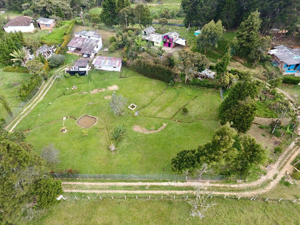 2022060316512369995250921