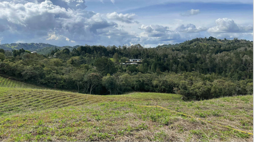 2022060317461378105250934-1