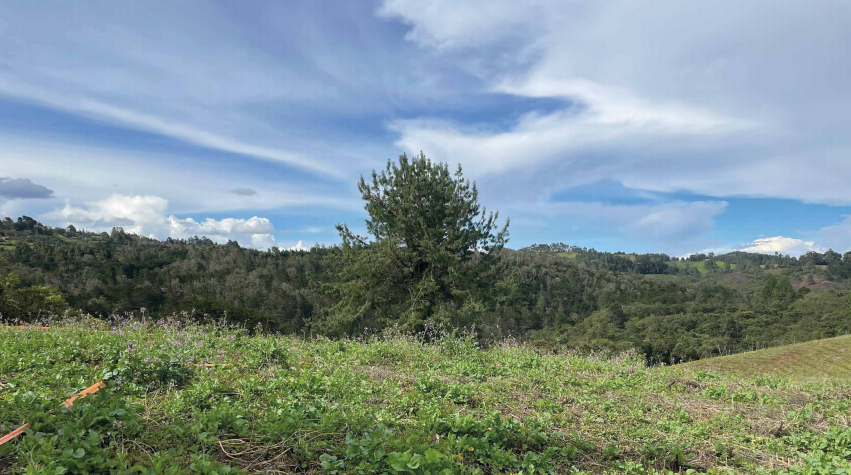 2022060317478185495250934