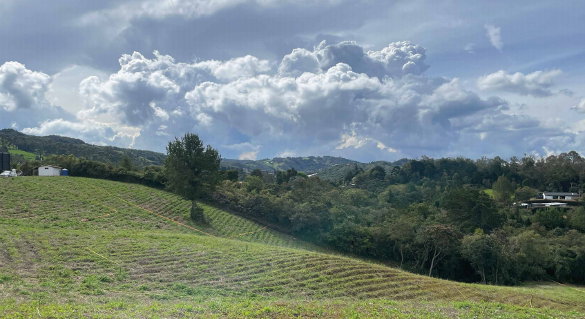 2022060317493789175250934