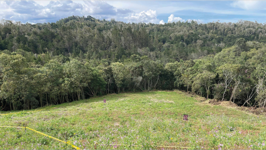 2022060317510261145250934