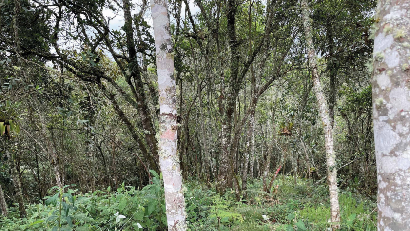 2022060317530569905250934