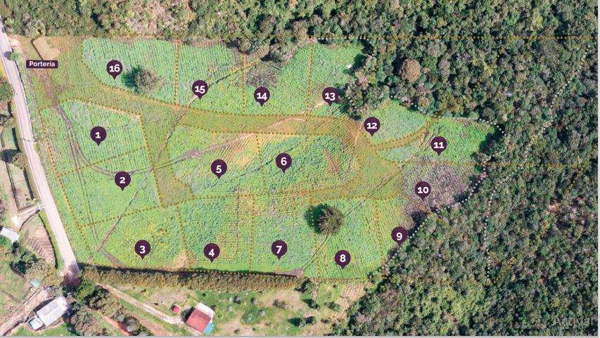 2022060317550392125250934