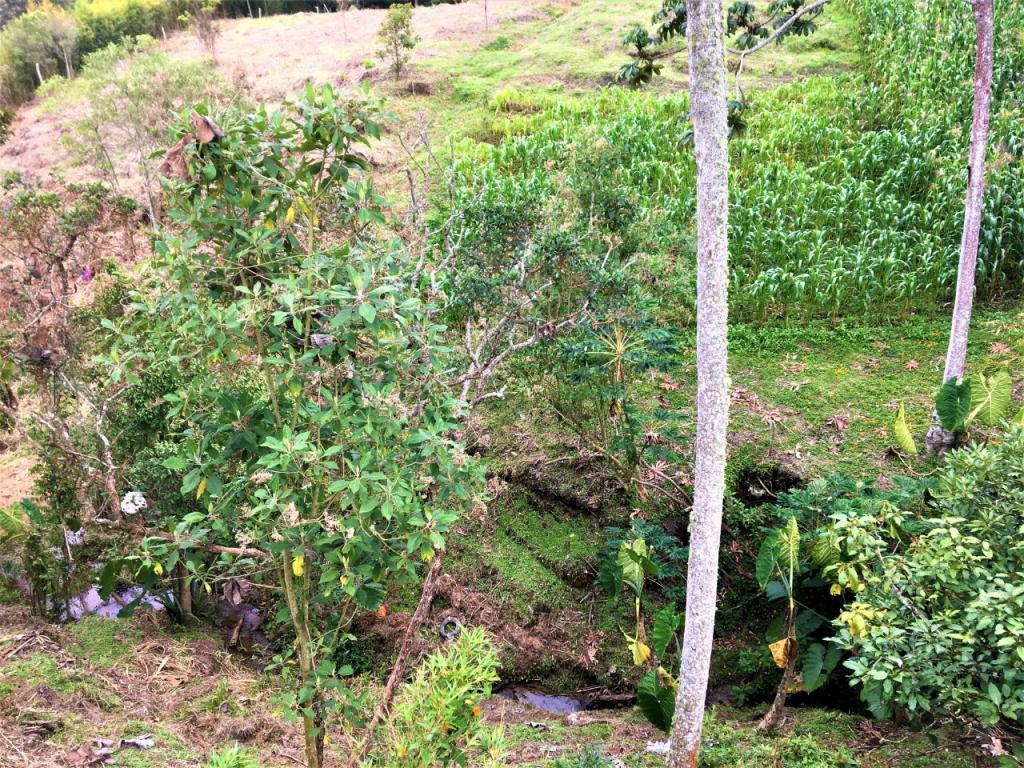 2022060318400269205250939