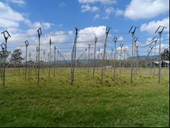 2022060326322475325251002