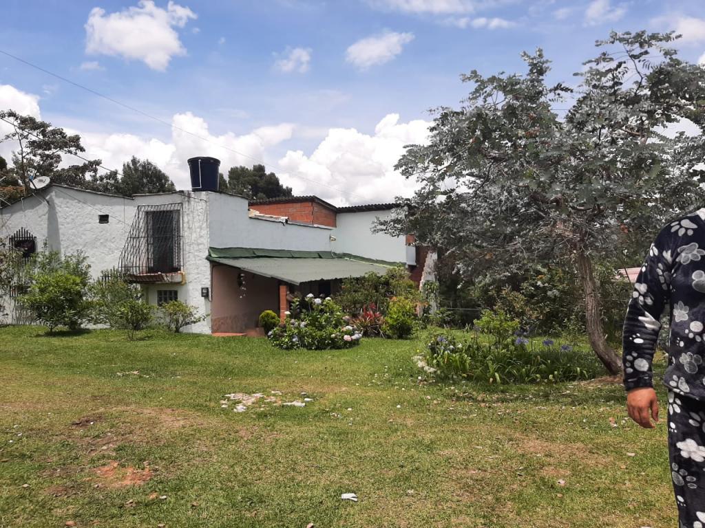 2022060329076139205251034