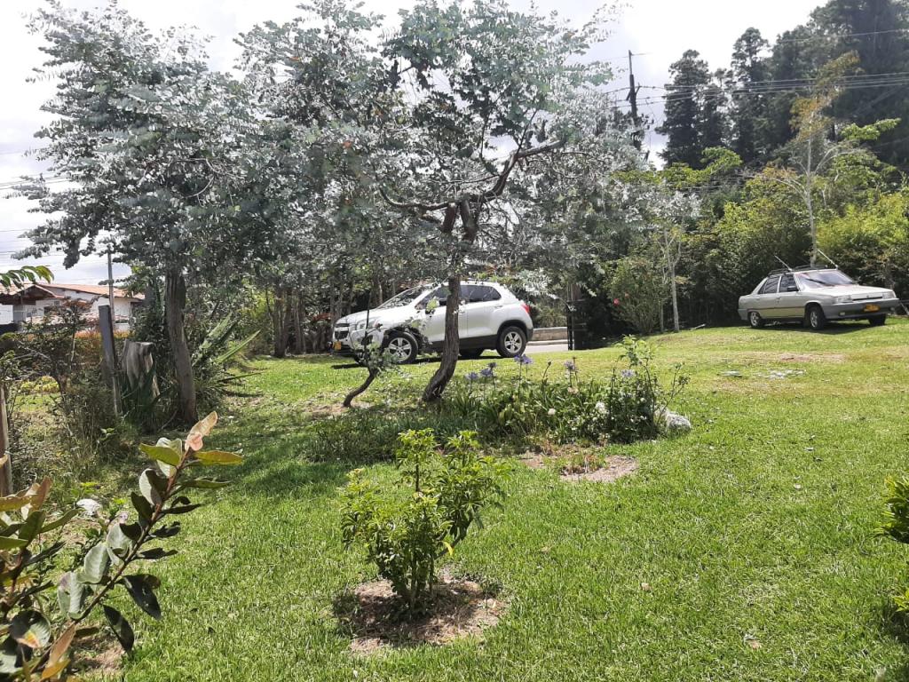 2022060329083782025251034