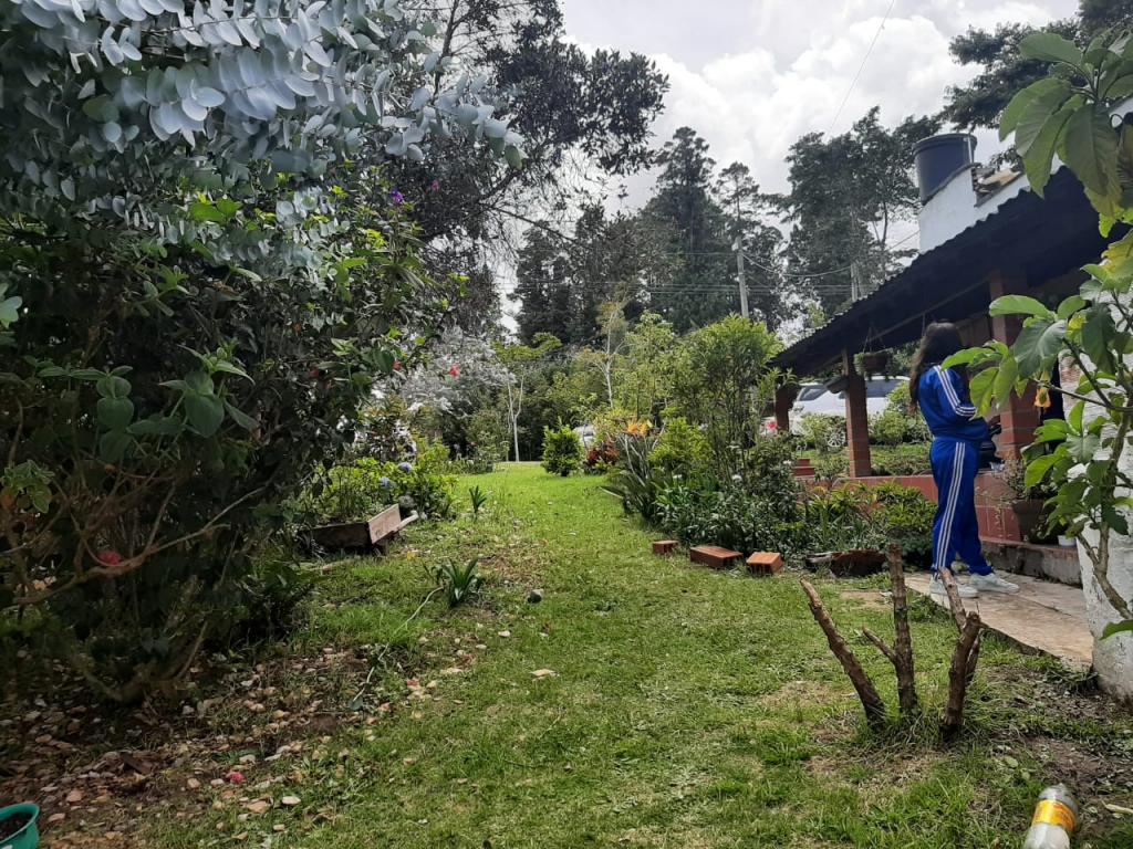 2022060329145492815251034