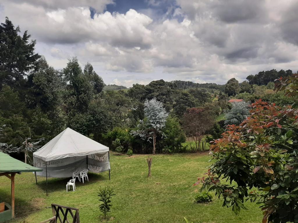 2022060329158600465251034