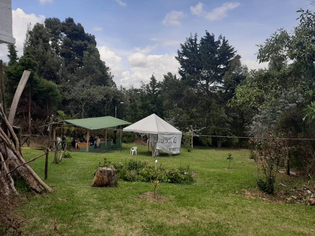 2022060329169960985251034