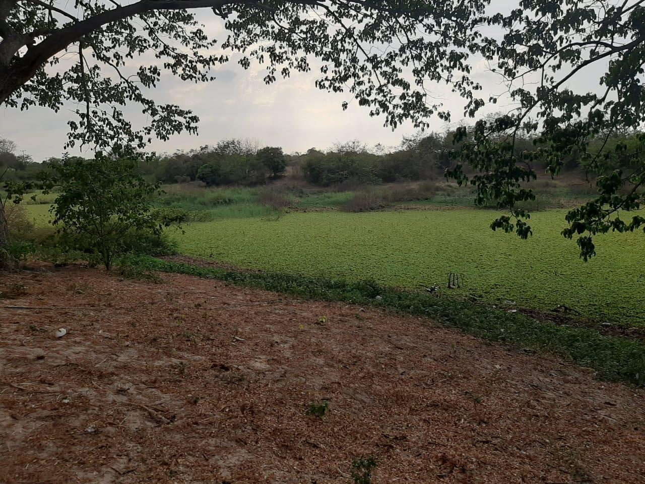 2022060329194799345251037-1