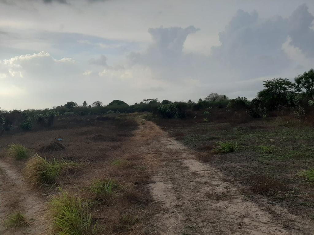 2022060329234389925251037