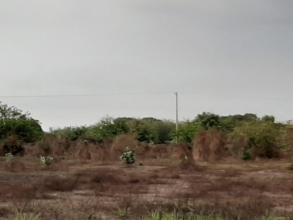 2022060329245380475251037