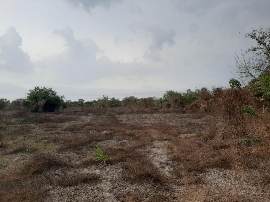 2022060329256901065251037