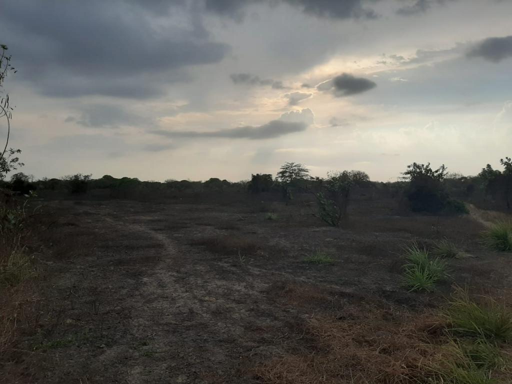 2022060329280334665251037