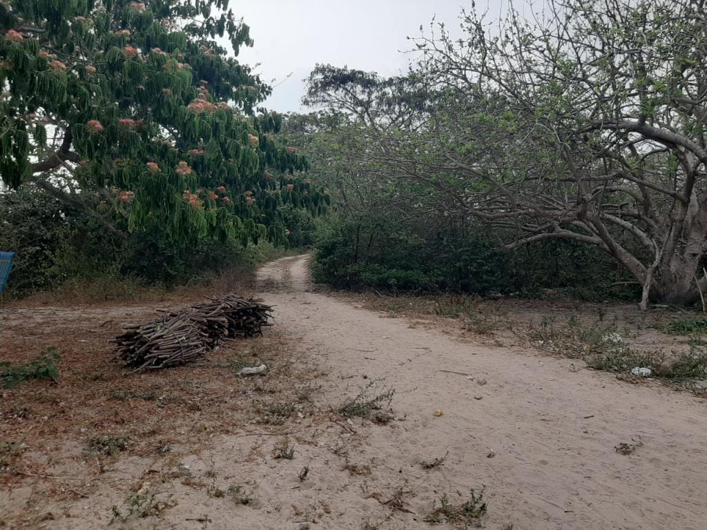 2022060329312941775251037