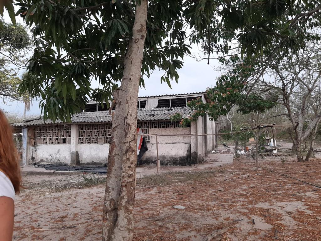 2022060329325156095251037