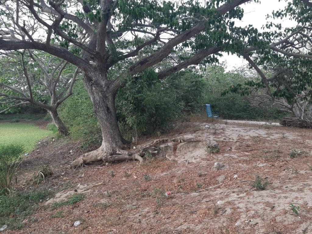 2022060329338336045251037