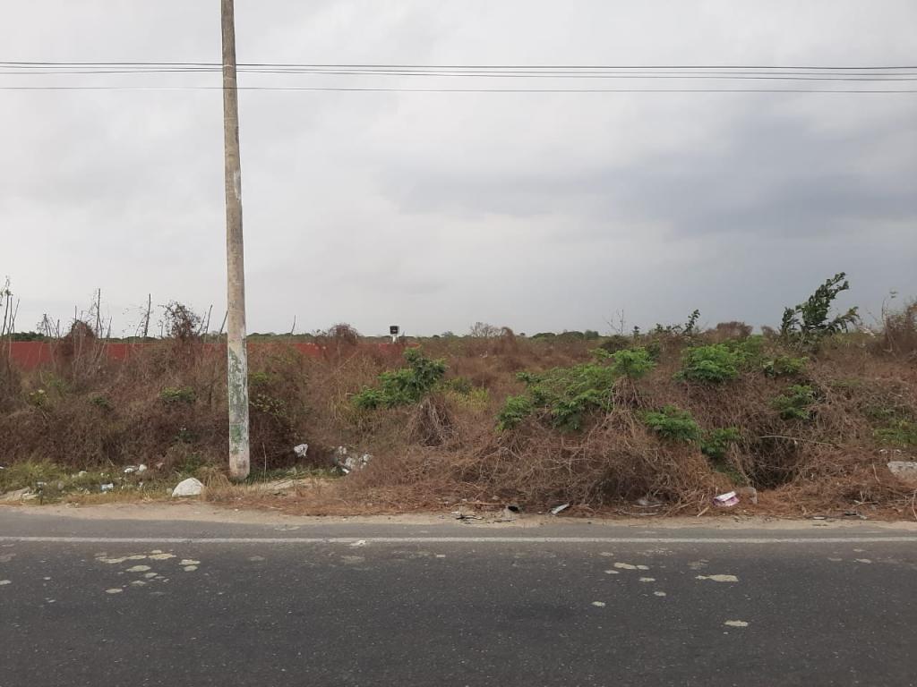 2022060329359044005251037