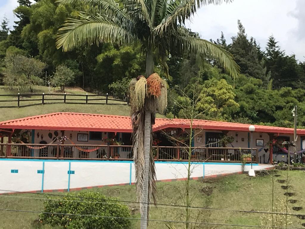 2022060334138467895251082-1