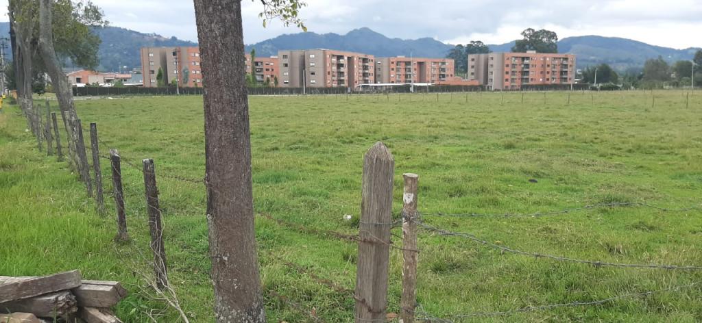 2022060335488840505251097-1