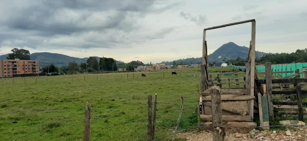 2022060335505571995251097