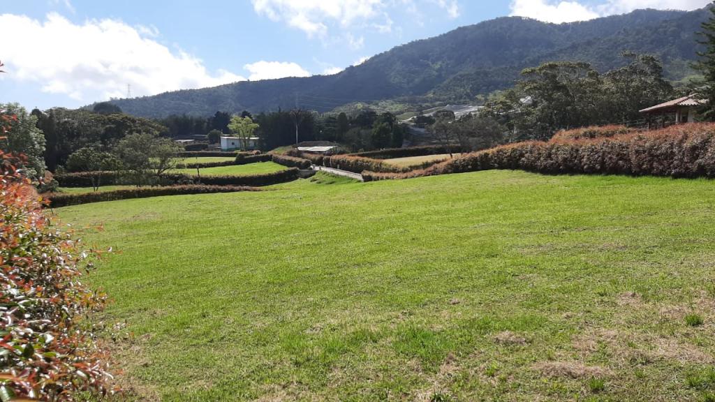 2022060335584929445251101-1