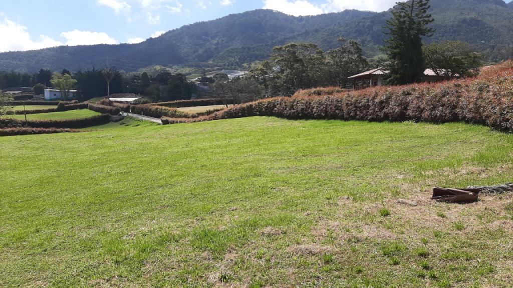 2022060335597685795251101