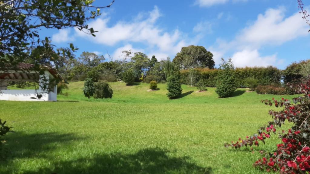 2022060336009783555251101