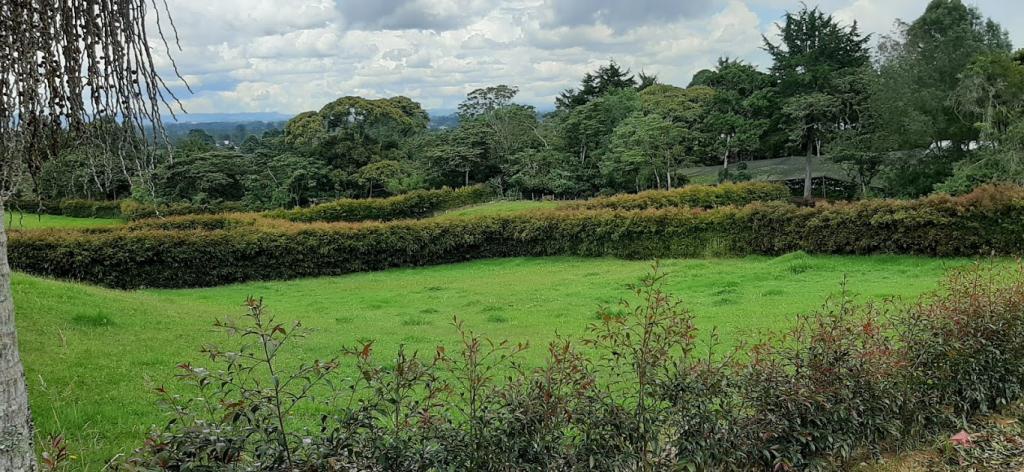 2022060336020608755251101