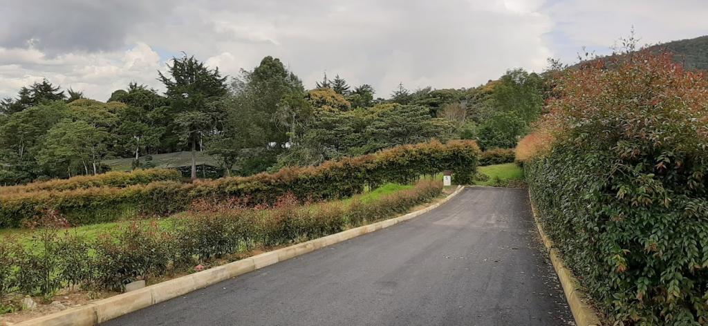 2022060336027728855251101