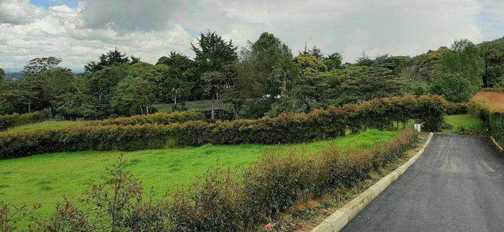 2022060336065865995251101