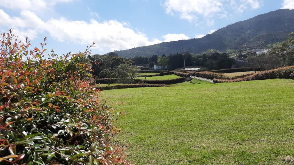 2022060336078051435251101