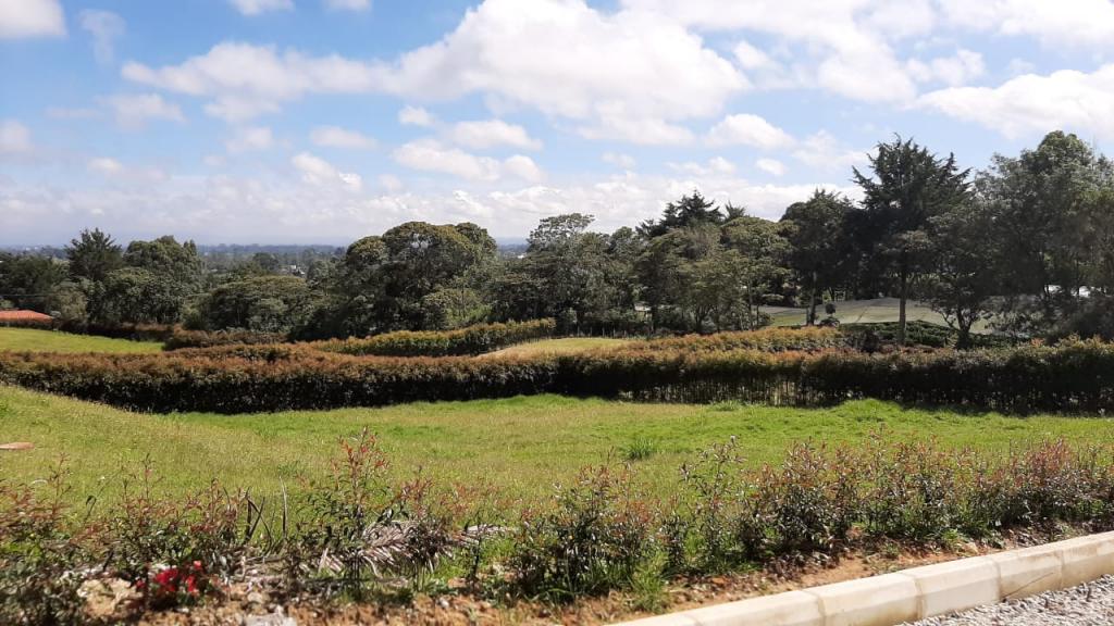 2022060336086583335251101