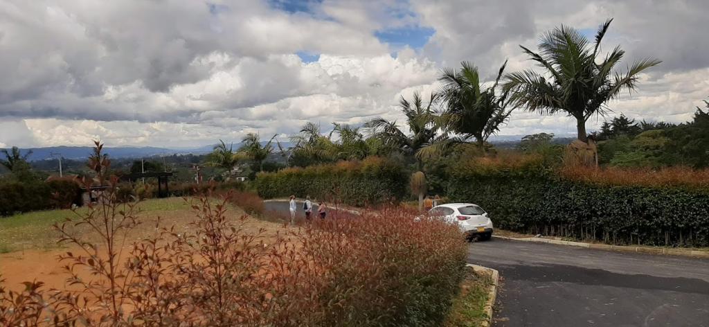 2022060336100121135251101